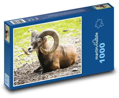 Obrázek produktu pro martinpuzzle - Puzzle 1000 - Muflon