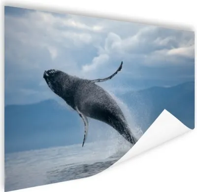Produktbild von MuchoWow® Poster Wal, der aus dem Wasser springt 60x40 cm - Schlafzimmerdekoration