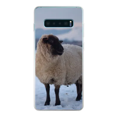 Produktbild von MuchoWow® Handyhülle Schutzhülle Hülle für Samsung Galaxy S10 Lite Schaf - Schnee - Berg Silikon Softcase Handy Hülle - Schutz