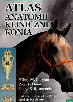 Productafbeelding van Atlas anatomii klinicznej konia