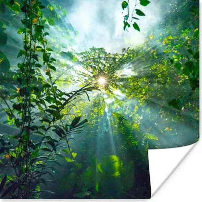 Produktbild von MuchoWow® Poster Sonnenlicht scheint auf eine Höhle im Regenwald von Malaysia 50x50 cm - Wohnzimmerdekoration