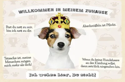 Produktbild von vianmo Holzschild 12x18 cm Tiere Hund willkommen wohne hier
