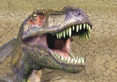 Produktbild von 3 D Ansichtskarte Dinosaurier, T-Rex Kopf, Postkarte Wackelkarte Hologrammkarte Tiere Tier Dinos