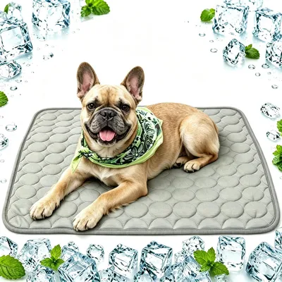 Immagine prodotto di Tappetino refrigerante per cani e gatti, 70x55 cm, antiscivolo, traspirante, lavabile