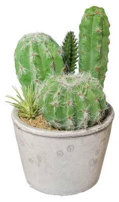Produktbild von Kunstpflanze KAKTEEN im ZEMENTTOPF ca 20cm. Kaktus mix getopft.