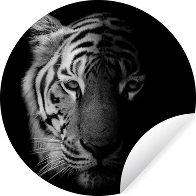 Produktbild von MuchoWow® Runde Wandtattoo - Wandsticker Tapete Aufkleber Tiger - Tiere - Wild - Schwarz - Weiß Ø 100 cm Selbstklebend und Repositionierbar - Wandaufkleber - Kreis - Tapetenkreis - Wandbild rund - Schlafzimmerdekoration - Wanddeko - runde Tapete - Kunst für zu Hause