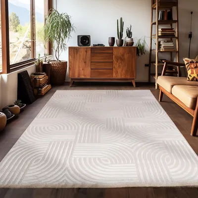 A modern living room with a wooden sideboard, a bookshelf, a sofa, and a large rug with a geometric pattern.