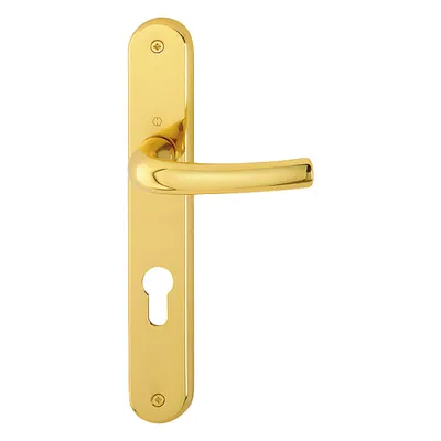 A close-up studio shot of a brass door handle set on a white background.