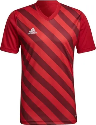 Produktbild von Adidas Tshirts Entrada 22, HB0572, Größe: 182