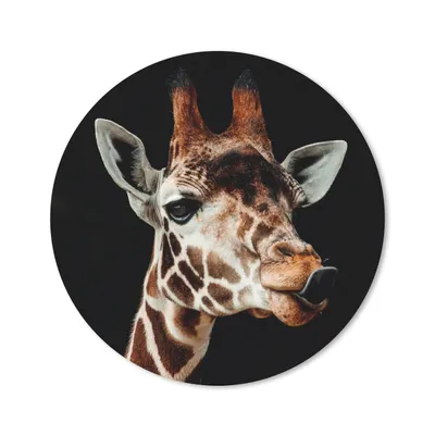 Produktbild von MuchoWow® Mauspad Mousepad Giraffe - Tiere - Schwarz 20x20 cm - Mousepads - Maus Mat - Pad - Mausunterlage - Schreibtischmatte