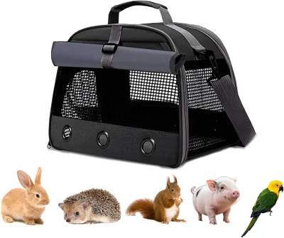 Productafbeelding van Opvouwbare draagtas voor kleine huisdieren met gaasvenster, 35 x 25 x 23 cm