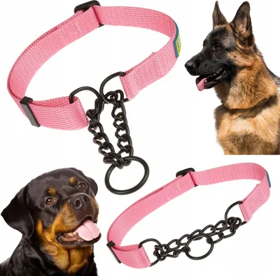 Produktbild von Großes Hundehalsband mit Martingalkette verstellbar XL