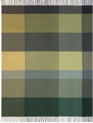 Produktbild von Biederlack Plaid mit Fransen Pleasant Farbe green Größe 130 x 170