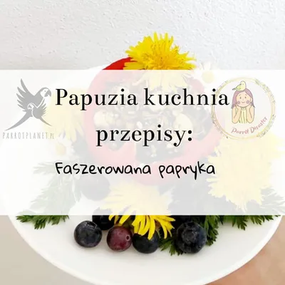 Zdjęcie produktu dla PAPUZIA Kuchnia ParrotPlanet- FASZEROWANA PAPRYKA - Autorski Przepis Adzioszki z Parrot Disaster