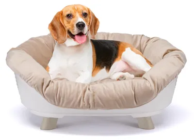 Produktbild von Ferplast Hundebett & Katzenbett mit Kissen, Hundebett waschbar, erhöhtes Hundebe