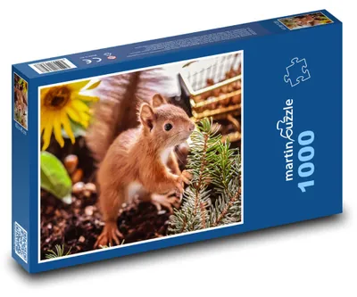 Obrázek produktu pro Puzzle 1000 Veverka na zahradě - martinpuzzle