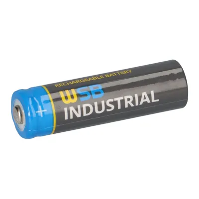 A single battery is shown against a white background.