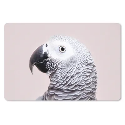 Produktbild von MuchoWow® Mauspad Mousepad Papagei - Grau - Tiere - Natur 27x18 cm - Mousepads - Maus Mat - Pad - Mausunterlage - Büroartikel - Desk Matten