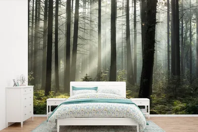 Produktbild von MuchoWow® Fototapete für Wohnzimmer oder Schlafzimmer Wandtapete Vinyl Motivtapete Wald - Pflanzen - Nebel - 525x350 cm - Das Hintergrundbild