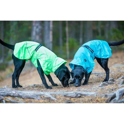 Image de Rukka Dog HASE RAIN JACKET 55 Tyrkysová