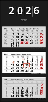 Produktbild von Herlitz Wandkalender 3 Monate / 4 Monate 2026, Jahr / Übersicht:2026 / 3 Monate