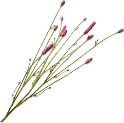 Produktbild von Silk-ka Künstliche Blumen, Seidenblumen, Pimpernel-Zweig, rosa-rot, 84 cm, pro 2 Stück