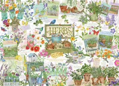 Imagen del producto de Jardín de hierbas Cobble Hill, 1000 unidades