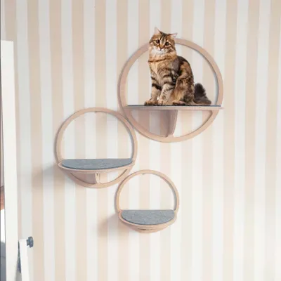 A cat sits on a wall-mounted cat shelf, with two other shelves below it, against a striped wallpaper.
