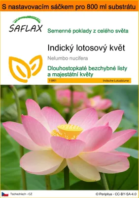 Obrázek produktu pro SAFLAX Garden in the bag - Indický lotosový květ - Nelumbo nucifera   - 8 Semena - S pěstebním substrátem v praktickém samovztyčovacím sáčku