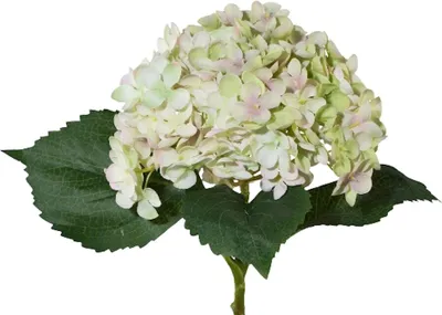 Produktbild von künstliche Hortensie grün rosa H. 53cm D. ca. 17cm GASPER Kunstblume