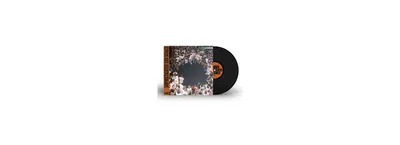 Obrázok produktu pre Leonidy: Leonidy: (180g) - - (LP/S)