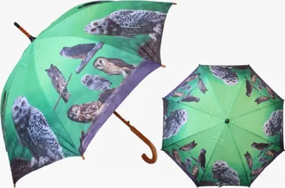 Produktbild von 1 Regenschirm Eulen, Automatikschirme Stockschirme Schirm Schirme Eule Uhu Vögel Tiere
