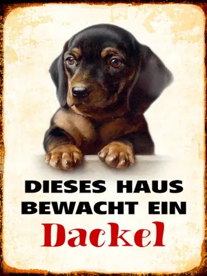 Produktbild von vianmo Holzschild 40x30 cm Hund dieses Haus bewacht ein Dackel