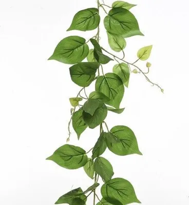 Produktbild von Decoris Efeu - grun - Girlande - 220 cm