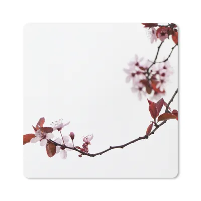 Produktbild von MuchoWow® Mauspad Mousepad Blumen - Blüte - Kirschbaum 20x20 cm - Mousepads - Maus Mat - Pad - Mausunterlage - Desk Mat - Bureauartikeln