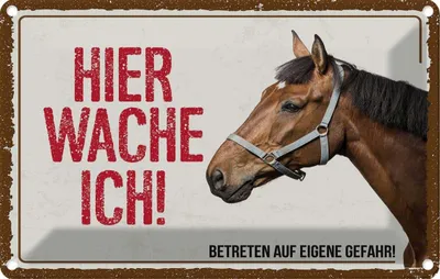 Produktbild von vianmo Blechschild 20x30 cm Pferd hier wache ich eigene Gefahr