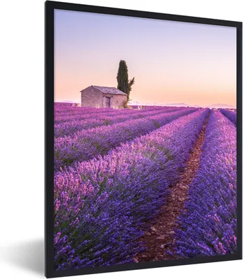 Produktbild von MuchoWow® Gerahmtes Poster Lavendel - Sonnenuntergang - Lila - Blumen 60x80 cm - Poster mit Schwarzem Bilderrahmen Wandposter Rahmen Foto Bilder - Premium - Wanddeko Wohnzimmer