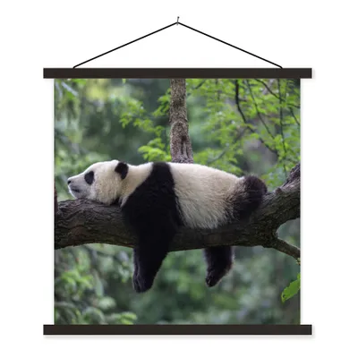 Produktbild von MuchoWow® Textilposter Panda - Baum - Tiere - Natur 60x60 cm mit schwarzem Rahmen - Posteraufhänger