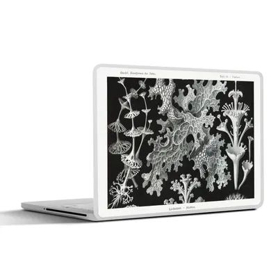 Produktbild von MuchoWow® Laptop Aufkleber Sticker Cover Kunst - Koralle - Ernst Haeckel - Alte Meister - Natur 30x22 cm - Laptop-Sticker