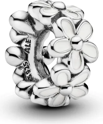 A close-up studio shot of a Pandora charm.