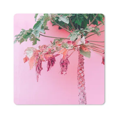 Produktbild von MuchoWow® Mauspad Mousepad Palme - Tropisch - Rosa - Sommer 30x30 cm - Mousepads - Maus Mat - Pad - Mausunterlage - Gaming