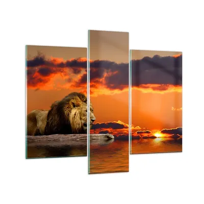 Produktbild von Bilder auf glas - Löwe Sonne Landschaft - 95x80cm - Glasbilder - Wandbilder - Kunstdruck - zum Aufhängen bereit - Wanddekoration aus Glas - Glas Bilder - Wandbild auf Glas - 3 Teile - GCB95x80-0230