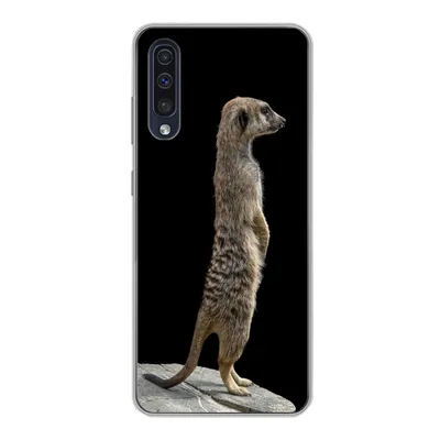 Produktbild von MuchoWow® Handyhülle Schutzhülle Hülle für Samsung Galaxy A30s Erdmännchen - Wilde Tiere - Schwarz Silikon Softcase Handy Hülle - Karteninhaber
