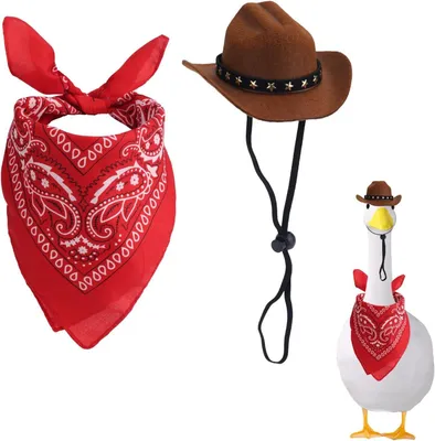 Imagen del producto de Disfraces de ganso estilo vaquero del oeste, con sombrero y bandana, para gansos de 43,18 cm y 58,42 cm, ideales para decoración de jardines