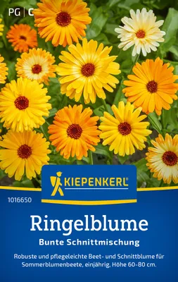 Produktbild von Kiepenkerl Ringelblumensamen Bunte Schnittmischung 80 Pflanzen