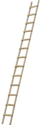 Image de Echelle plate de toit RICHOMME 4.50 m écart.33 cm - B3145033