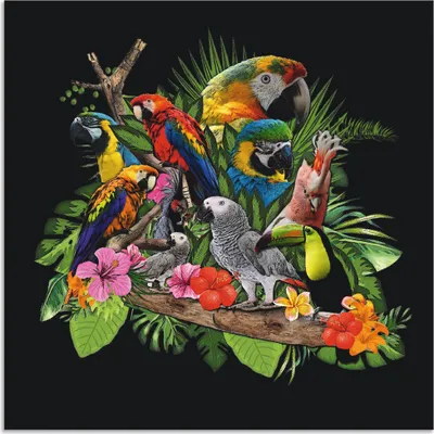 Produktbild von ARTland Wandbild Alu für Innen & Outdoor Papageien Graupapagei Kakadu Dschungel Größe: 70x70 cm