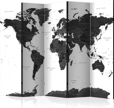 Immagine prodotto di Schermo monofacciale Mappe 225x172 cm 5 pezzi nero