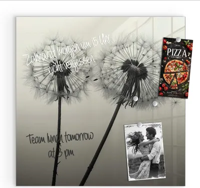 Produktbild von Magnettafel 50x50cm Pinnwand Whiteboard beschreibbar - Pusteblume Schwarz
