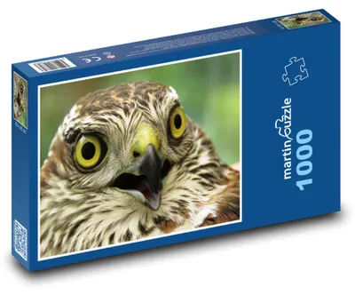 Zdjęcie produktu dla Puzzle 1000 Krogulec - ptak drapieżny - martinpuzzle